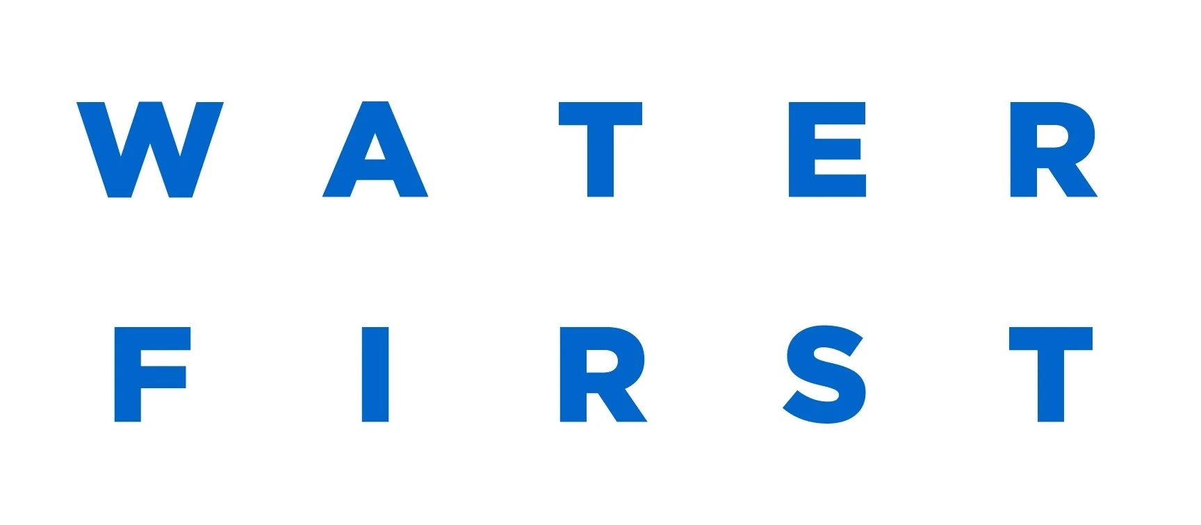 Water First non-profit logo