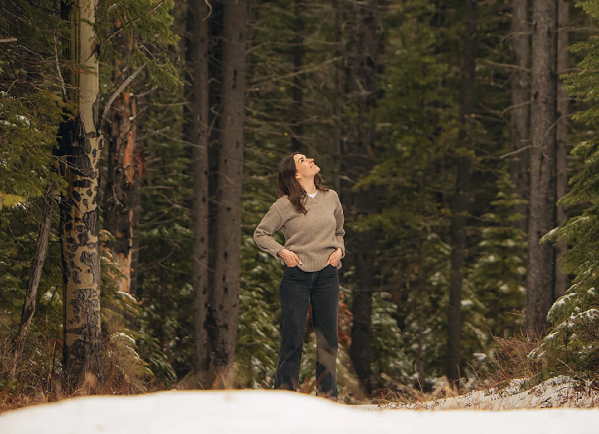 Little Symphony in nature